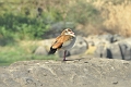 2013 02 09_7188_edited-1